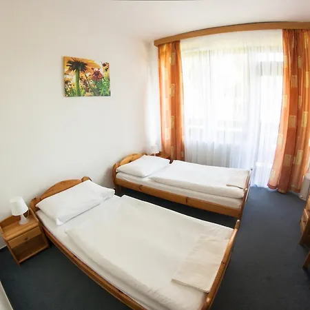 Junior Piatrova Hotel 2*